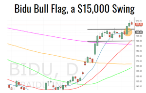 Bidu Bull Flag