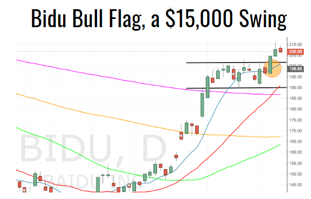 Bidu Bull Flag