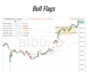 Bull Flags