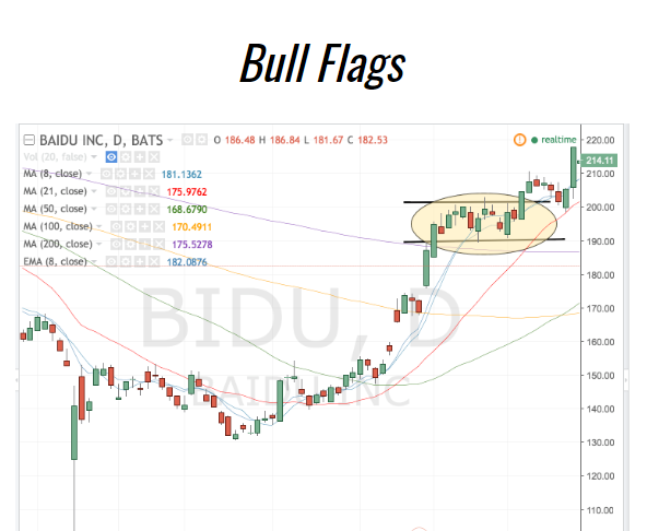 Bull Flags